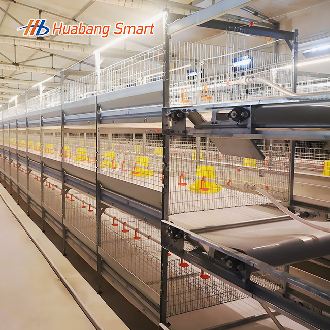 H Type 3 Tier Broiler Chicken Cage